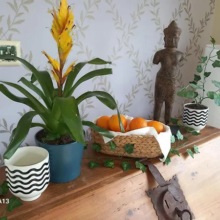 Relax At Safe Haven Bed & Breakfast Carlingford