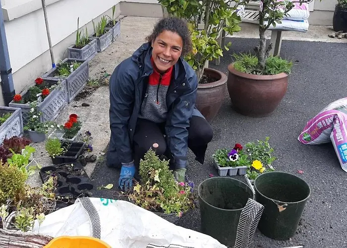 Panzió Safe Haven - Luxury Family