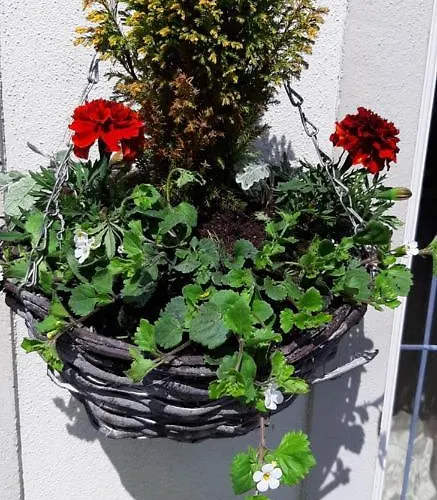 Safe Haven - Luxury Family Отель типа 