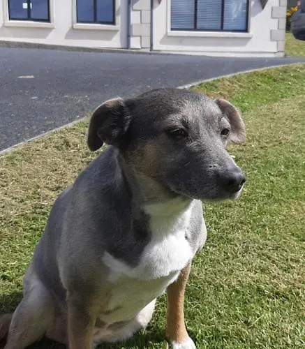 Safe Haven - Luxury Family Panzió