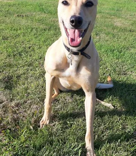 Safe Haven - Luxury Family