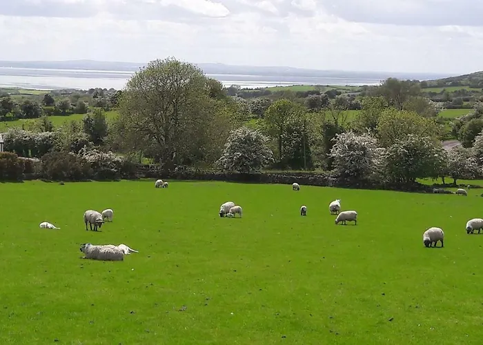 Safe Haven - Luxury Family Panzió